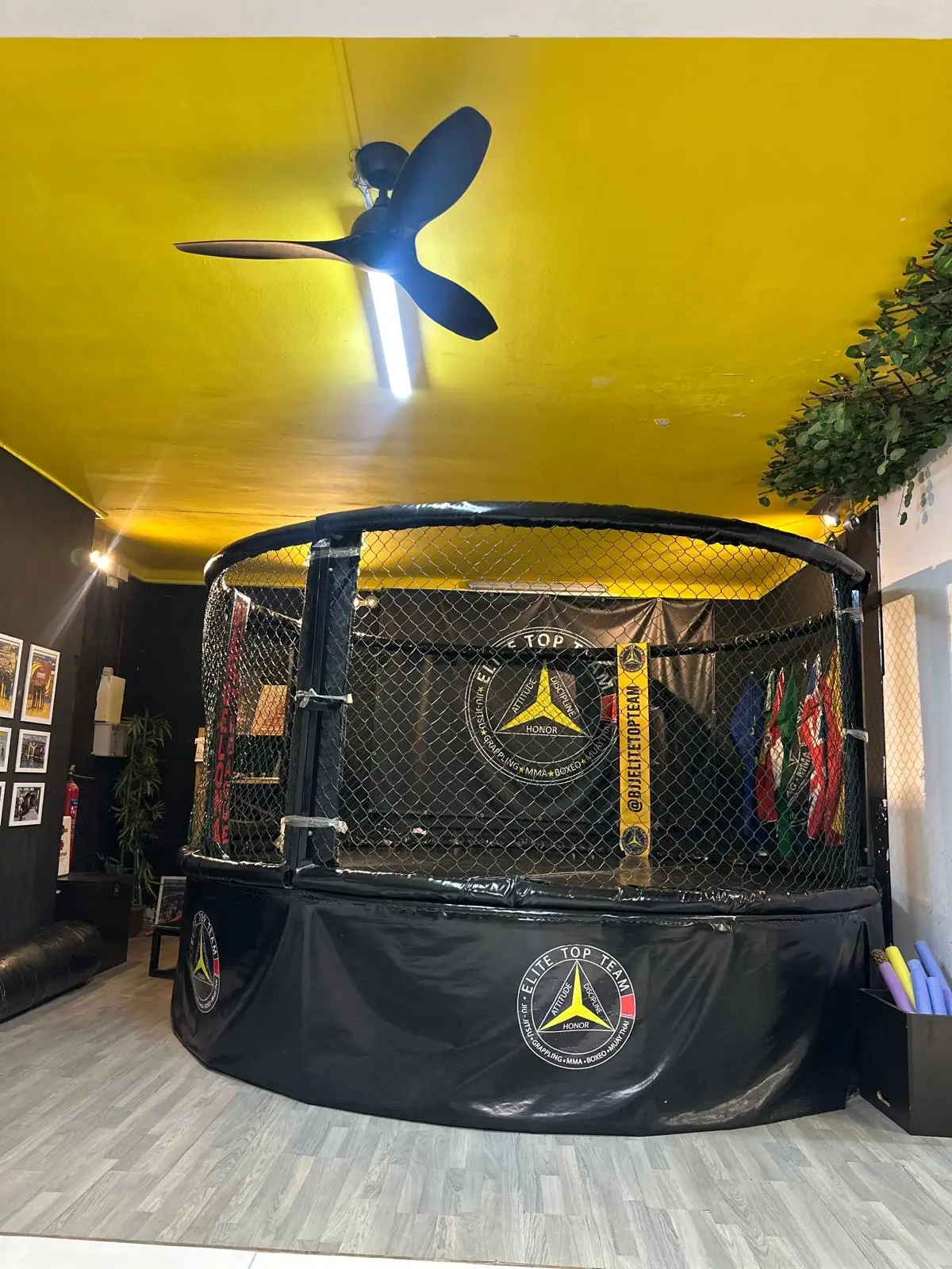 Jaula octogonal de MMA de Elite Top Team bajo el techo amarillo